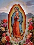 12 DEcembrie - Sf. Fecioara de Guadalupe